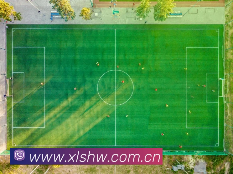 多媒体互动体验